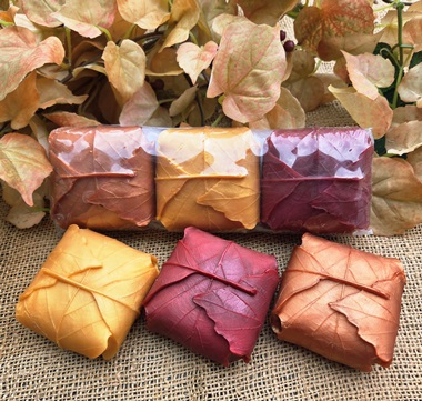 Autumn Leaves Bar Soap Set