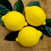 Lemon Bar Soap