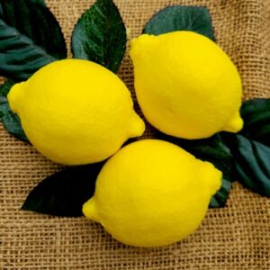 Lemon Bar Soap